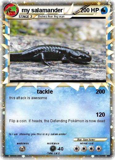 Pokemon my salamander