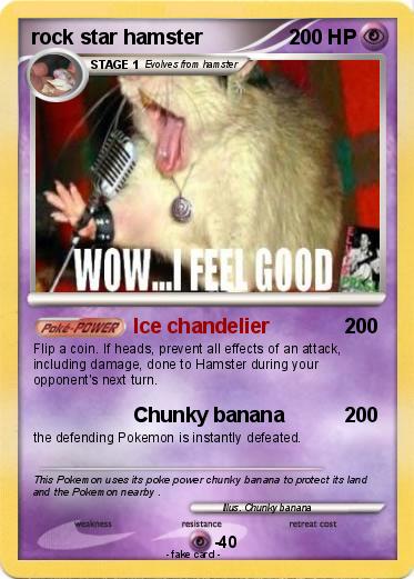 Pokemon rock star hamster