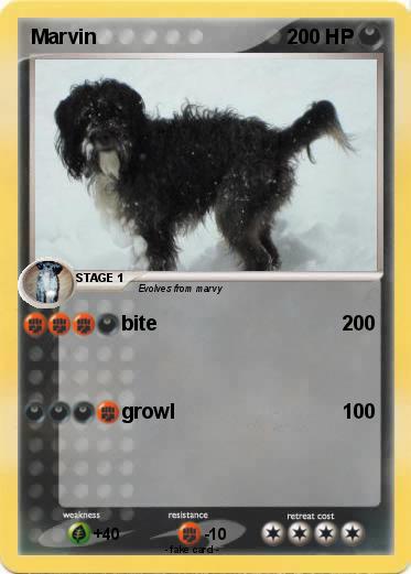 Pokemon Marvin