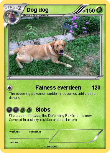 Pokemon Dog dog