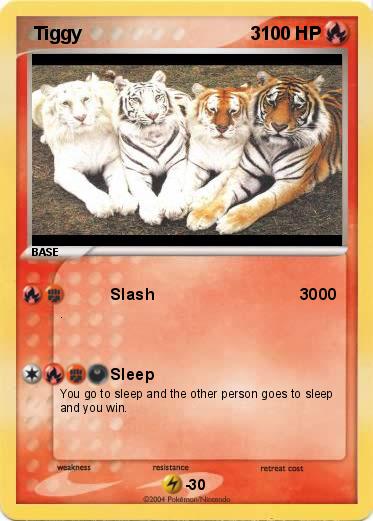 Pokemon  Tiggy                                 3