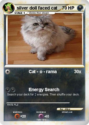 Pokemon silver doll faced cat