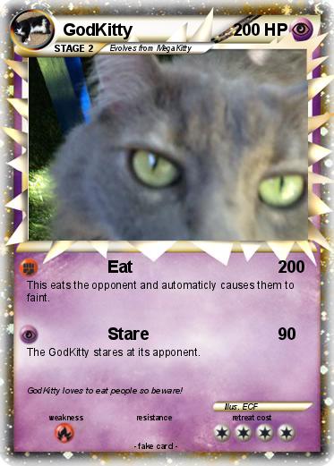 Pokemon GodKitty