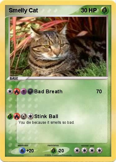 Pokemon Smelly Cat