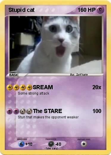 Pokemon Stupid cat