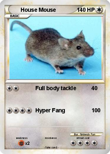 Pokemon House Mouse
