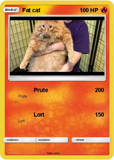 Pokemon Fat cat