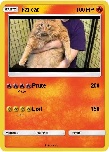 Pokemon Fat cat