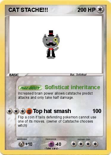 Pokemon CAT STACHE!!!