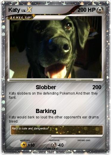 Pokemon Katy
