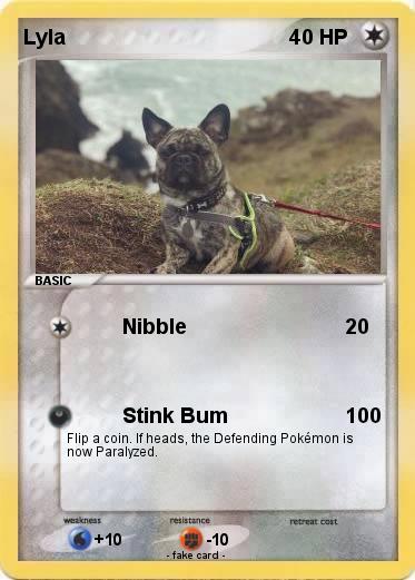 Pokemon Lyla