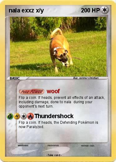 Pokemon nala exxz x/y