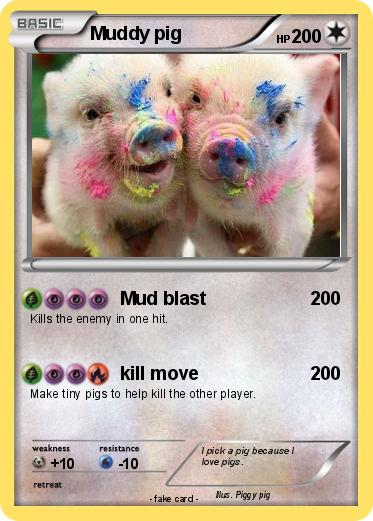 Pokemon Muddy pig