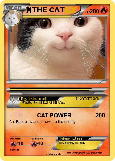 Pokemon THE CAT