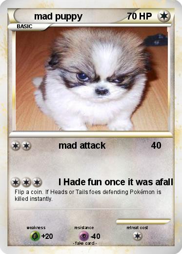 Pokemon mad puppy