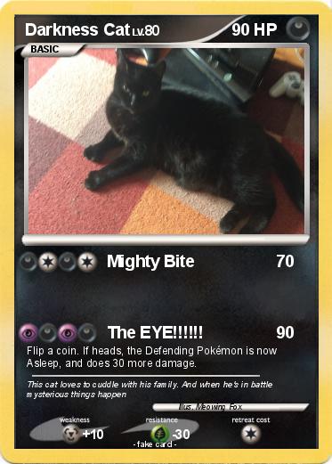 Pokemon Darkness Cat