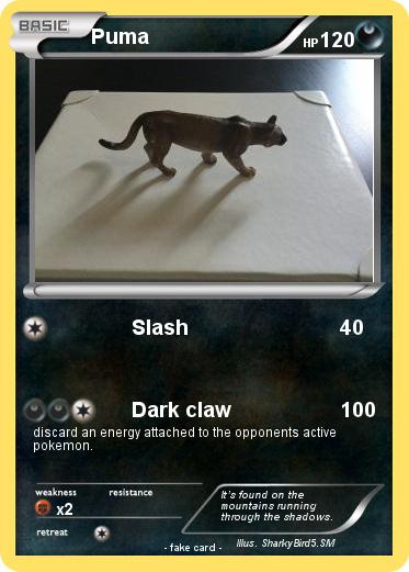 Pokemon Puma