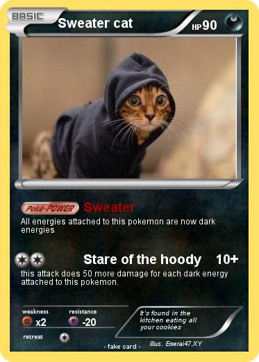 Pokemon Sweater cat