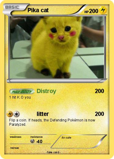 Pokemon Pika cat