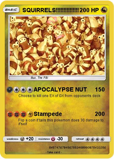 Pokemon SQUIRRELS!!!!!!!!!!!!!!!