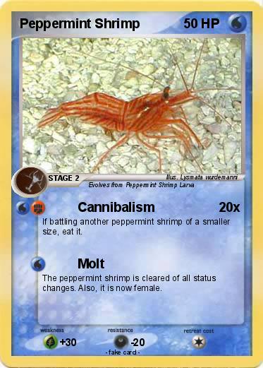 Pokemon Peppermint Shrimp