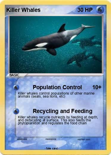 Pokemon Killer Whales