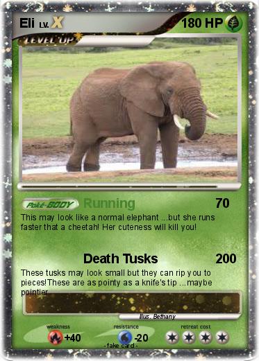Pokemon Eli