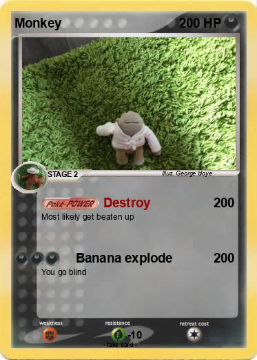 Pokemon Monkey