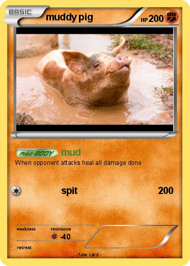 Pokemon muddy pig