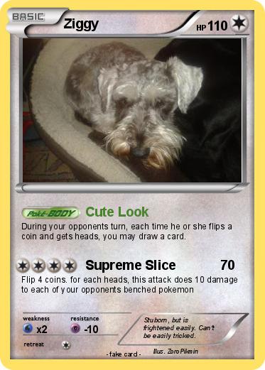 Pokemon Ziggy