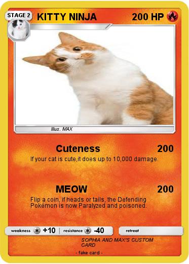 Pokemon KITTY NINJA