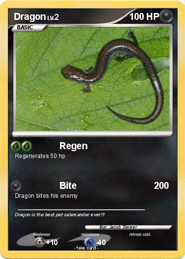 Pokemon Dragon