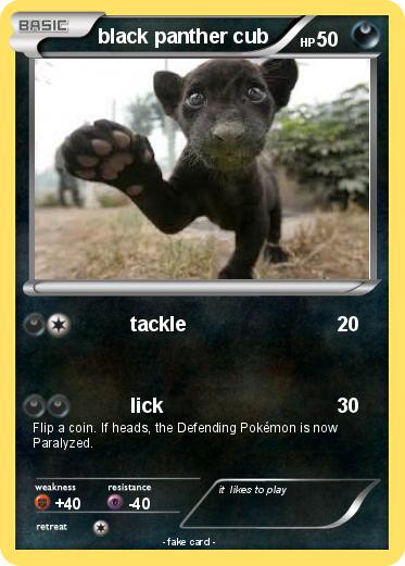 Pokemon black panther cub