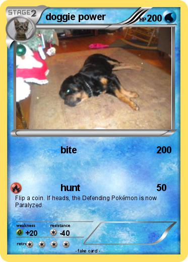 Pokemon doggie power