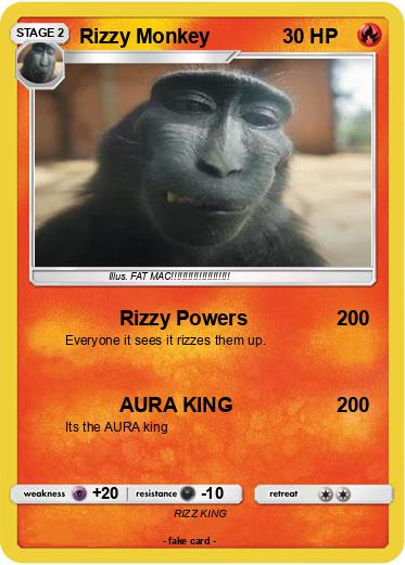 Pokemon Rizzy Monkey