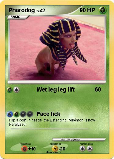 Pokemon Pharodog