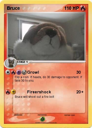 Pokemon Bruce