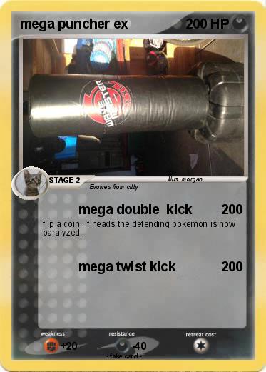 Pokemon mega puncher ex