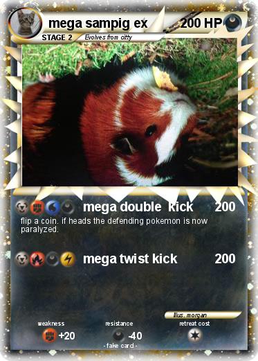Pokemon mega sampig ex