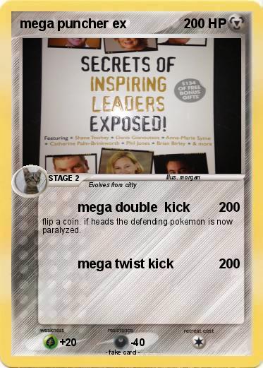 Pokemon mega puncher ex