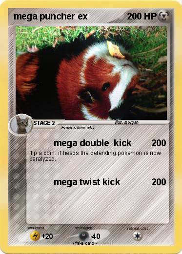 Pokemon mega puncher ex