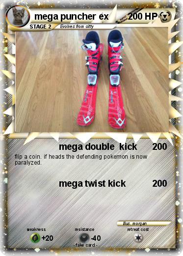 Pokemon mega puncher ex
