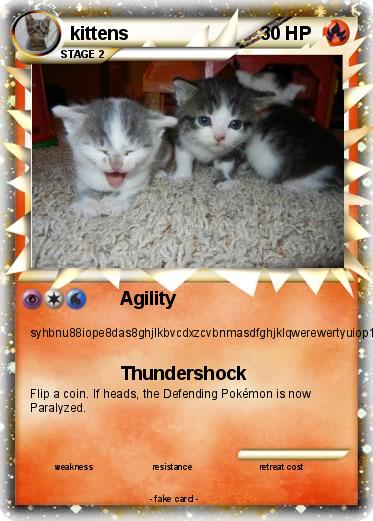 Pokemon kittens