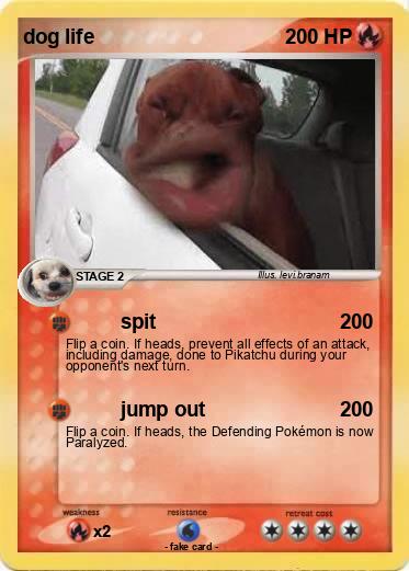 Pokemon dog life