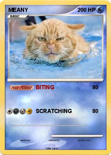 Pokemon MEANY