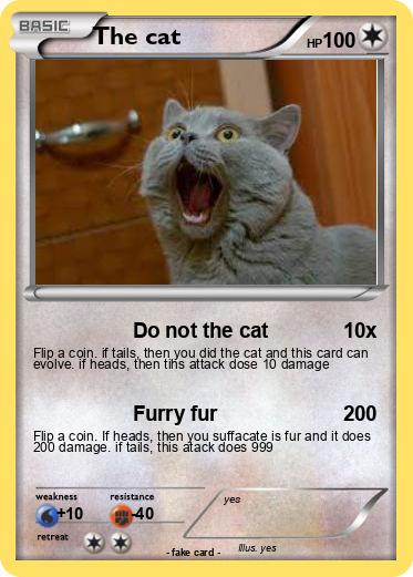 Pokemon The cat
