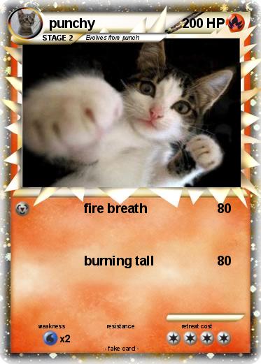 Pokemon punchy