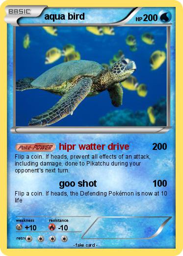 Pokemon aqua bird