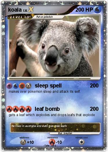 Pokemon koala