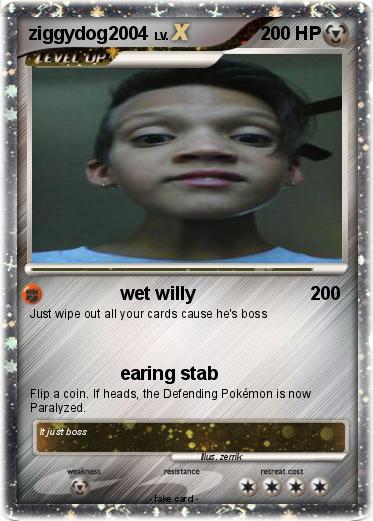 Pokemon ziggydog2004